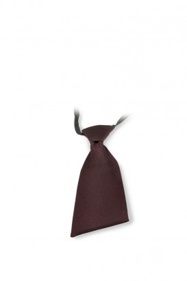 Women's tie brown 1
